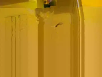 bigtopcircus Image 2