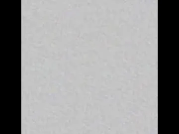 scandidreamgirl Image 13