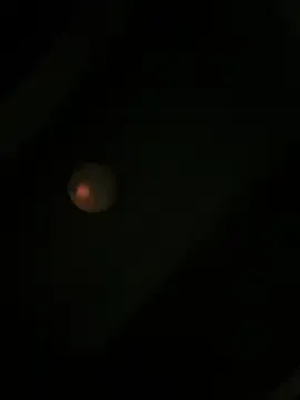 bigmama_deshayyy Image 2