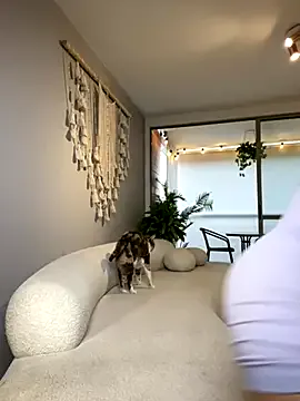 Irish_Collins Image 7