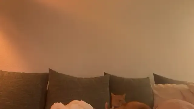 Melina_Diamond Image 7