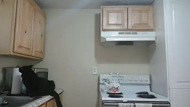 NatalieKneals Image 3