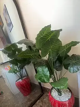 Savage_baby Image 16