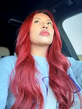 shaarebaare Image 17