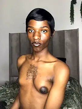 Trans_fairy Image 19